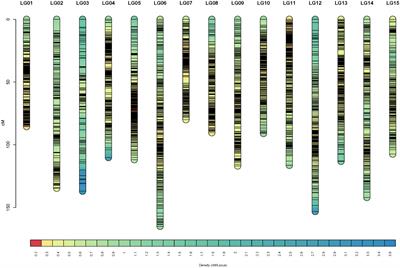 Identification of QTL controlling volatile terpene contents in tea plant (Camellia sinensis) using a high-aroma ‘Huangdan’ x ‘Jinxuan’ F1 population